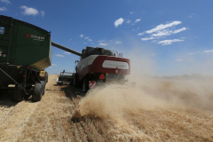 Acros combine harvesters, manufactured by Rostselmash OJSC, during the summer wheat harvest on a farm operated by 'Svetlyi" Group of Companies, in Kamenka village, outside Rostov, Russia, July 5, 2019. http://gk-svetlyi.ru/