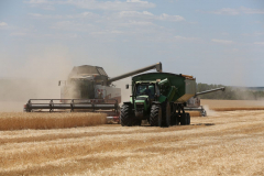 Acros combine harvesters, manufactured by Rostselmash OJSC, during the summer wheat harvest on a farm operated by 'Svetlyi" Group of Companies, in Kamenka village, outside Rostov, Russia, July 5, 2019. http://gk-svetlyi.ru/
