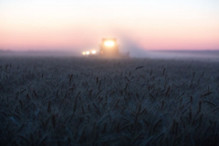Acros combine harvesters, manufactured by Rostselmash OJSC, during the summer wheat harvest on a farm operated by 'Svetlyi" Group of Companies, in Kamenka village, outside Rostov, Russia, July 5, 2019. http://gk-svetlyi.ru/