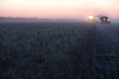Acros combine harvesters, manufactured by Rostselmash OJSC, during the summer wheat harvest on a farm operated by 'Svetlyi" Group of Companies, in Kamenka village, outside Rostov, Russia, July 5, 2019. http://gk-svetlyi.ru/