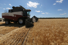 Acros combine harvesters, manufactured by Rostselmash OJSC, during the summer wheat harvest on a farm operated by 'Svetlyi" Group of Companies, in Kamenka village, outside Rostov, Russia, July 5, 2019. http://gk-svetlyi.ru/