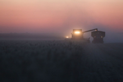 Acros combine harvesters, manufactured by Rostselmash OJSC, during the summer wheat harvest on a farm operated by 'Svetlyi" Group of Companies, in Kamenka village, outside Rostov, Russia, July 5, 2019. http://gk-svetlyi.ru/