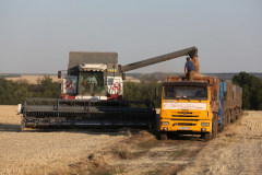 A Kamaz PJSC truck Acros combine harvesters, manufactured by Rostselmash OJSC, during the summer wheat harvest on a farm operated by 'Svetlyi" Group of Companies, in Kamenka village, outside Rostov, Russia, July 5, 2019. http://gk-svetlyi.ru/