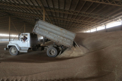 A wheat storage. Acros combine harvesters, manufactured by Rostselmash OJSC, during the summer wheat harvest on a farm operated by 'Svetlyi" Group of Companies, in Kamenka village, outside Rostov, Russia, July 5, 2019. http://gk-svetlyi.ru/