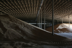 A wheat storage. Acros combine harvesters, manufactured by Rostselmash OJSC, during the summer wheat harvest on a farm operated by 'Svetlyi" Group of Companies, in Kamenka village, outside Rostov, Russia, July 5, 2019. http://gk-svetlyi.ru/