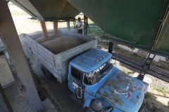 A wheat storage. Acros combine harvesters, manufactured by Rostselmash OJSC, during the summer wheat harvest on a farm operated by 'Svetlyi" Group of Companies, in Kamenka village, outside Rostov, Russia, July 5, 2019. http://gk-svetlyi.ru/