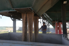 A wheat storage. Acros combine harvesters, manufactured by Rostselmash OJSC, during the summer wheat harvest on a farm operated by 'Svetlyi" Group of Companies, in Kamenka village, outside Rostov, Russia, July 5, 2019. http://gk-svetlyi.ru/
