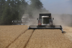 Acros combine harvesters, manufactured by Rostselmash OJSC, during the summer wheat harvest on a farm operated by 'Svetlyi" Group of Companies, in Kamenka village, outside Rostov, Russia, July 5, 2019. http://gk-svetlyi.ru/