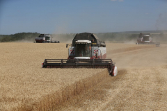 Acros combine harvesters, manufactured by Rostselmash OJSC, during the summer wheat harvest on a farm operated by 'Svetlyi" Group of Companies, in Kamenka village, outside Rostov, Russia, July 5, 2019. http://gk-svetlyi.ru/