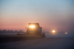 Acros combine harvesters, manufactured by Rostselmash OJSC, during the summer wheat harvest on a farm operated by 'Svetlyi" Group of Companies, in Kamenka village, outside Rostov, Russia, July 5, 2019. http://gk-svetlyi.ru/