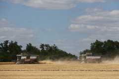 Acros combine harvesters, manufactured by Rostselmash OJSC, during the summer wheat harvest on a farm operated by 'Svetlyi" Group of Companies, in Kamenka village, outside Rostov, Russia, July 5, 2019. http://gk-svetlyi.ru/