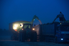Acros combine harvesters, manufactured by Rostselmash OJSC, during the summer wheat harvest on a farm operated by 'Svetlyi" Group of Companies, in Kamenka village, outside Rostov, Russia, July 5, 2019. http://gk-svetlyi.ru/