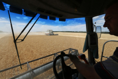 Acros combine harvesters, manufactured by Rostselmash OJSC, during the summer wheat harvest on a farm operated by 'Svetlyi" Group of Companies, in Kamenka village, outside Rostov, Russia, July 5, 2019. http://gk-svetlyi.ru/